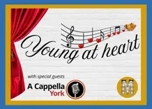Graphic that says 'Young at Heart'